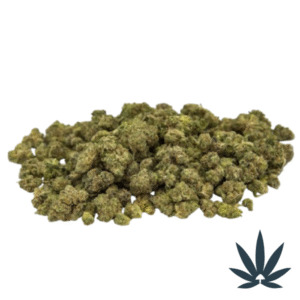 Z- Topia (Smalls)